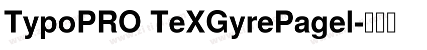TypoPRO TeXGyrePagel字体转换